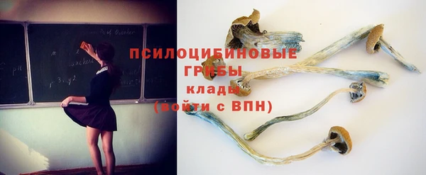 мдпв Куйбышев