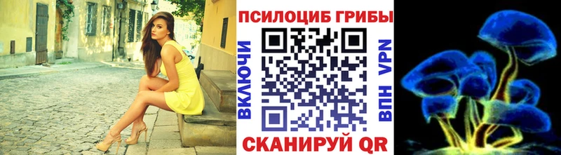 Купить где  Павлово  Галлюциногенные грибы Magic Shrooms 