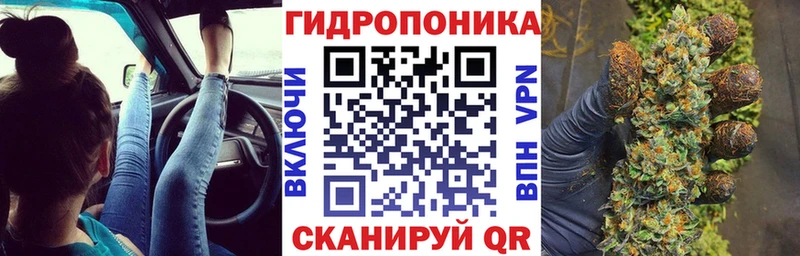 Конопля Bruce Banner  Купить  Павлово 